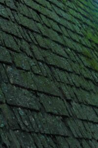 A homeowner examines dark roof streaks while standing safely on the ground beside a ladder.