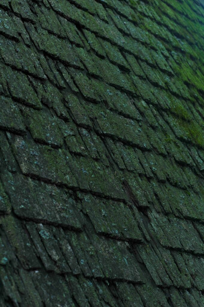 A homeowner examines dark roof streaks while standing safely on the ground beside a ladder.