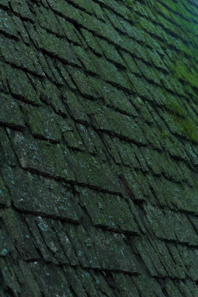 A homeowner examines dark roof streaks while standing safely on the ground beside a ladder.